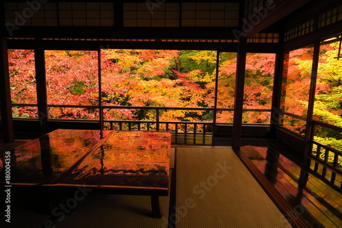 京都瑠璃光院 の紅葉　床もみじ
