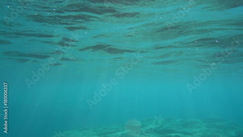 Wallpaper Mural Beautiful underwater shot with penetrating rays of the sun. Torontodigital.ca
