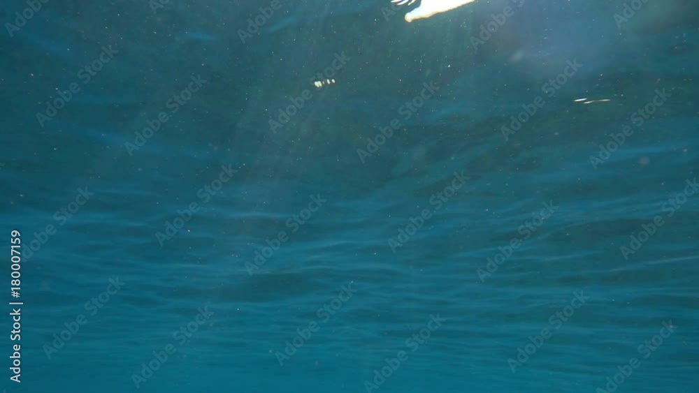 Beautiful underwater shot with penetrating rays of the sun. Beautiful underwater shot with penetrating rays of the sun.