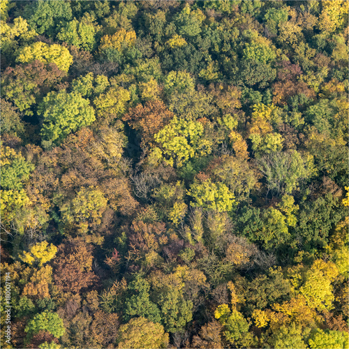 Vue aérienne de forêt à Brueil-en-Vexin dans les Yvelines en France