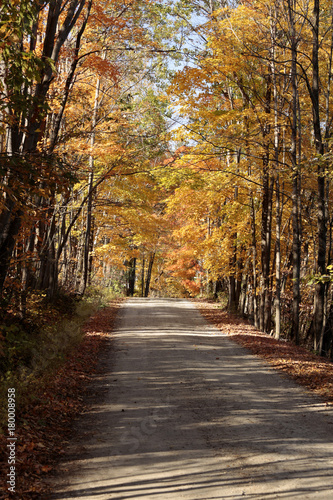 Vermont Country Road Autumn 