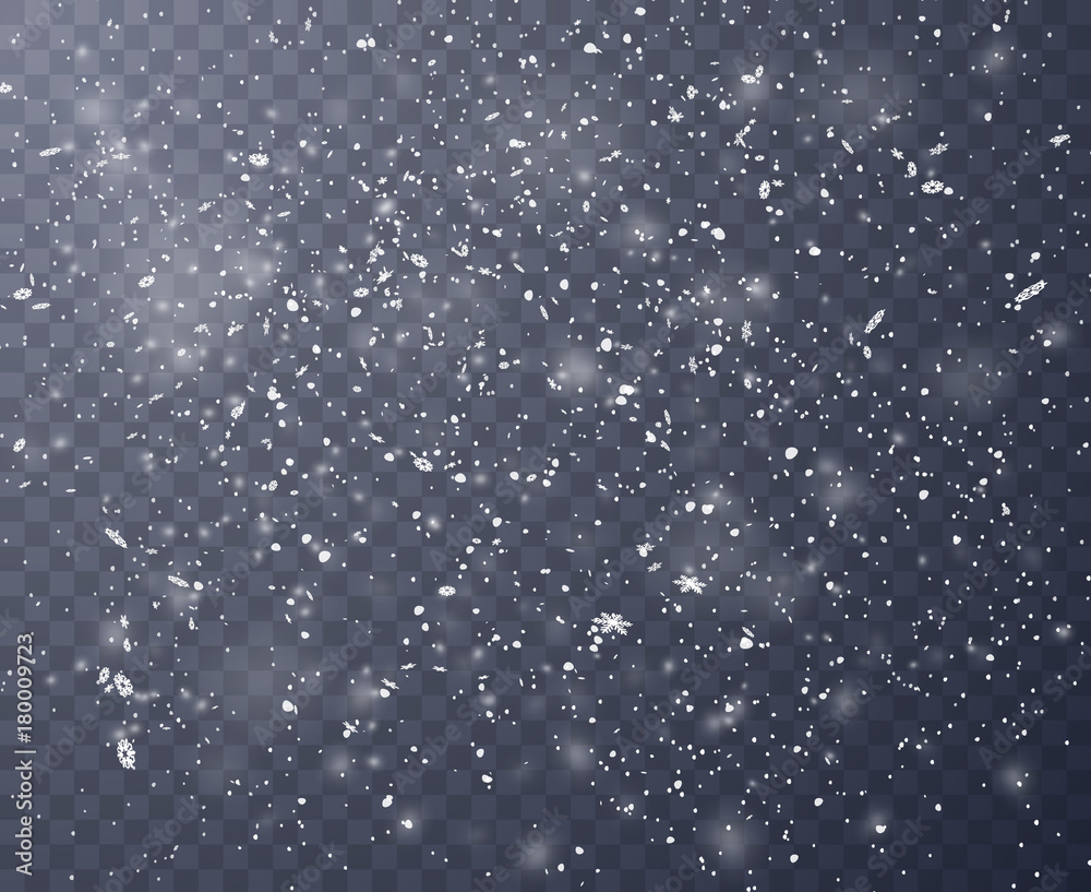 Falling snowflake vector background. EPS10 Falling snowflake vector background. EPS10