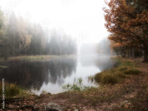 Misty autumn morning by the riverside.  F  rnebofjarden national park in Sweden.