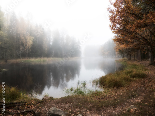 Misty autumn morning by the riverside. Färnebofjarden national park in Sweden.