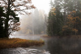Misty autumn morning by the riverside.
Färnebofjarden national park in Sweden.