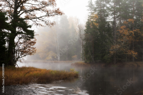 Misty autumn morning by the riverside. Färnebofjarden national park in Sweden.