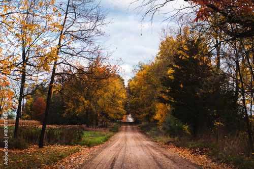 Dirt Road in Autumn