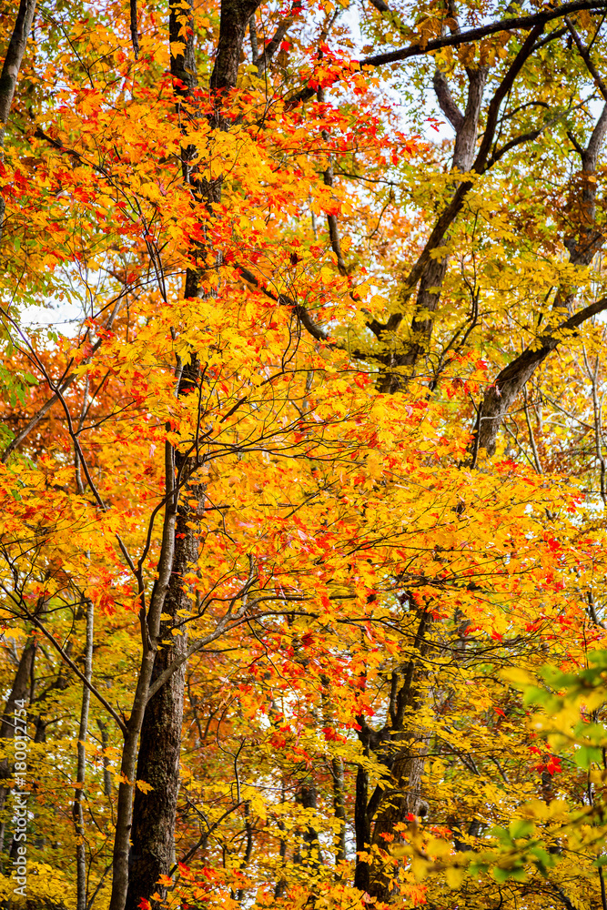 Big Canoe Atlanta Forrest Mountain Big Canoe Atlanta Forrest Mountain