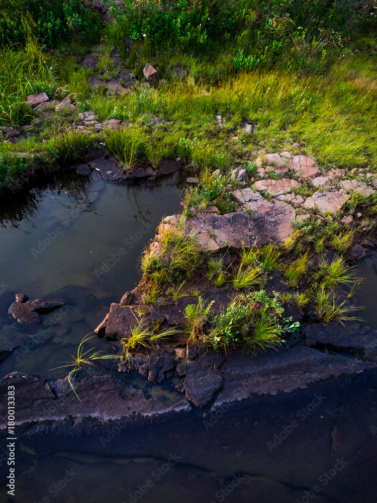 Image of rock with green plants on them by a pool of water by lake superior in northern minnesota. Image of rock with green plants on them by a pool of water by lake superior in northern minnesota.