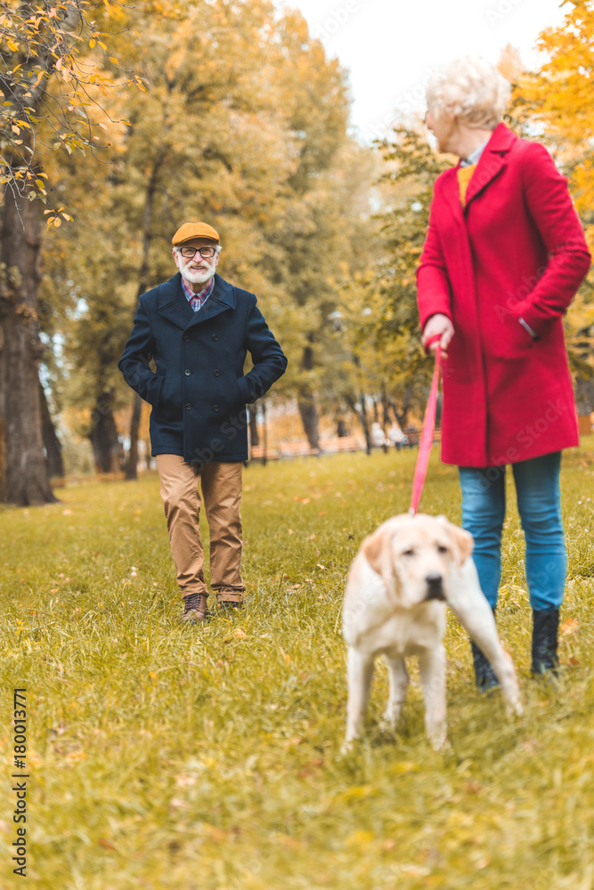 senior couple walking with dog