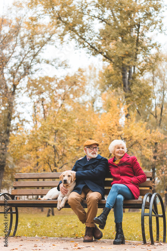 senior couple with dog on bench