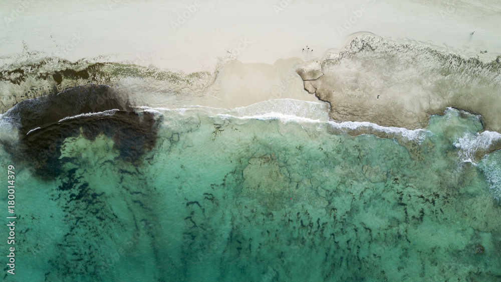 aerial view of beach and reef