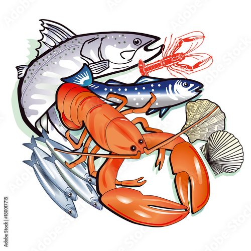 Meeresfrüchte, Fische, Muscheln illustration