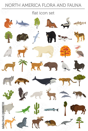 North America flora and fauna flat elements. Animals, birds and sea life big set. Build your geography infographics collection