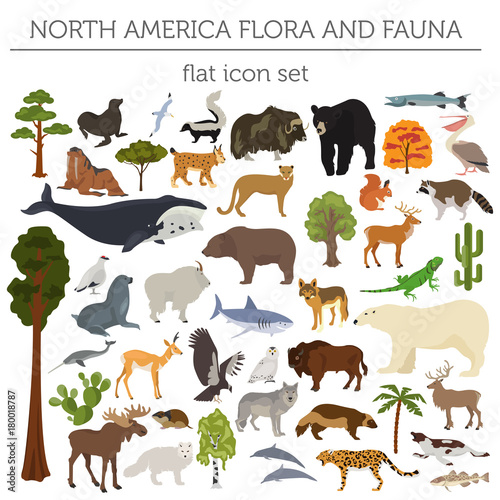 North America flora and fauna flat elements. Animals, birds and sea life big set. Build your geography infographics collection