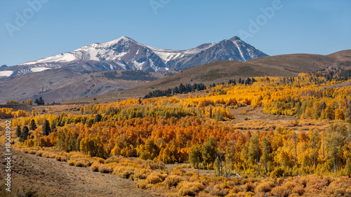 Fall Colors on Conway Summit 