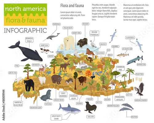Isometric 3d North America flora and fauna map elements. Animals, birds and sea life. Build your own geography infographics collection