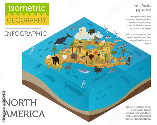 Isometric 3d North America flora and fauna map elements. Animals, birds and sea life. Build your own geography infographics collection