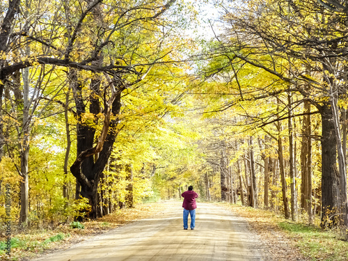 Solitary man walking down middle of golden autumn road