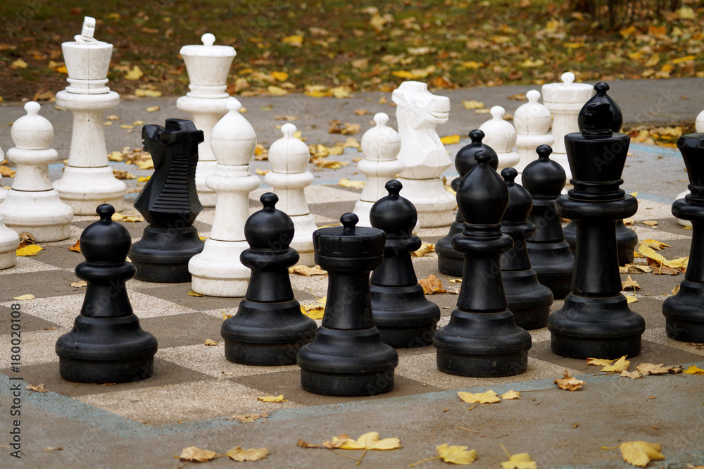 Chess in the park