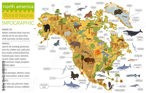 North America flora and fauna map, flat elements. Animals, birds and sea life big set. Build your geography infographics collection