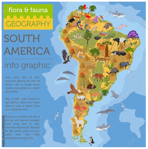 South America flora and fauna map, flat elements. Animals, birds and sea life big set. Build your geography infographics collection