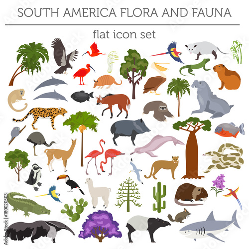 South America flora and fauna flat elements. Animals, birds and sea life big set. Build your geography infographics collection