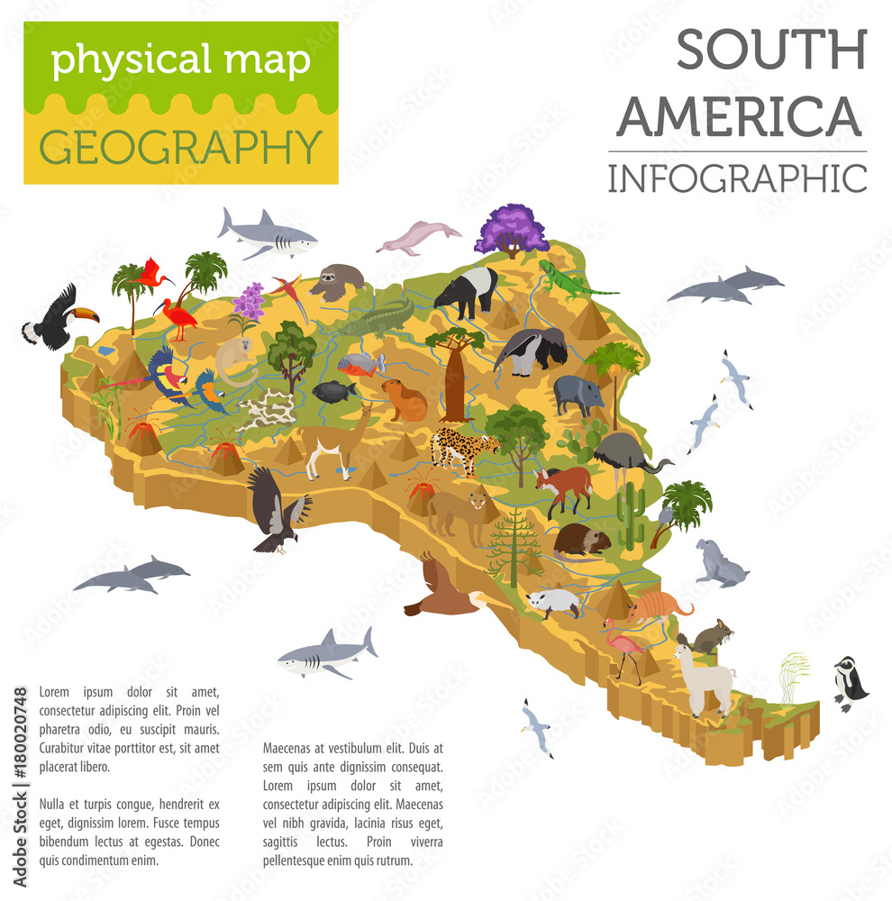 Isometric 3d South America flora and fauna map elements. Animals, birds
