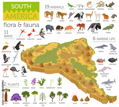Isometric 3d South America flora and fauna map elements. Animals, birds and sea life. Build your own geography infographics collection