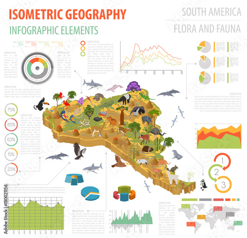 Isometric 3d South America flora and fauna map elements. Animals, birds and sea life. Build your own geography infographics collection