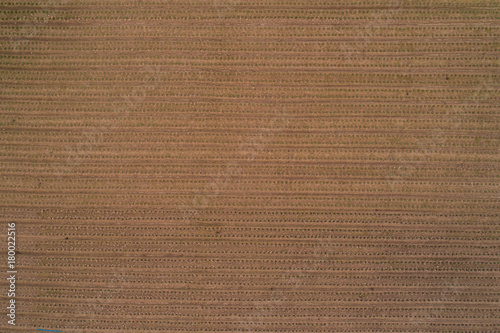 Aerial view ; Rows of soil before planting. a plowed field prepared for planting crops in spring.Horizontal view in perspective.Top view.