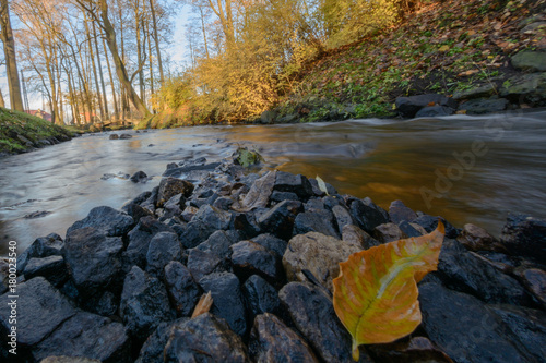The small river in the city park in the late autumn. Bottom view.