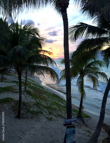 Beautiful sunset on the Atlantic coast of Cuba. Palms and ocean view at dusk