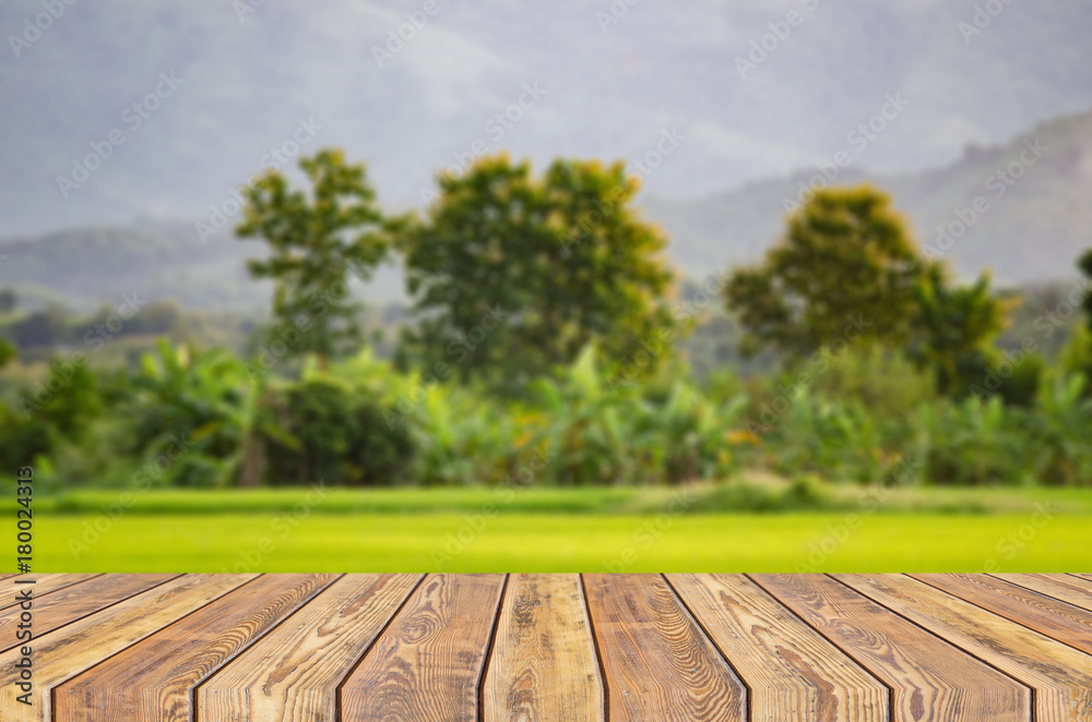 empty dark desk table and grass space of green forest and sunset blurred green background garden bokeh for a catering or food ,with bokeh image,can be used for montage or display your products empty dark desk table and grass space of green forest and sunset blurred green background garden bokeh for a catering or food ,with bokeh image,can be used for montage or display your products