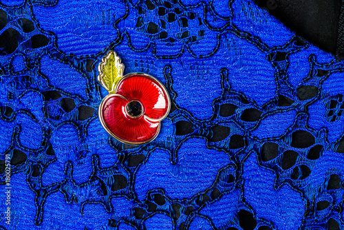 Red Poppy Pin as a Symbol of Remembrance Day