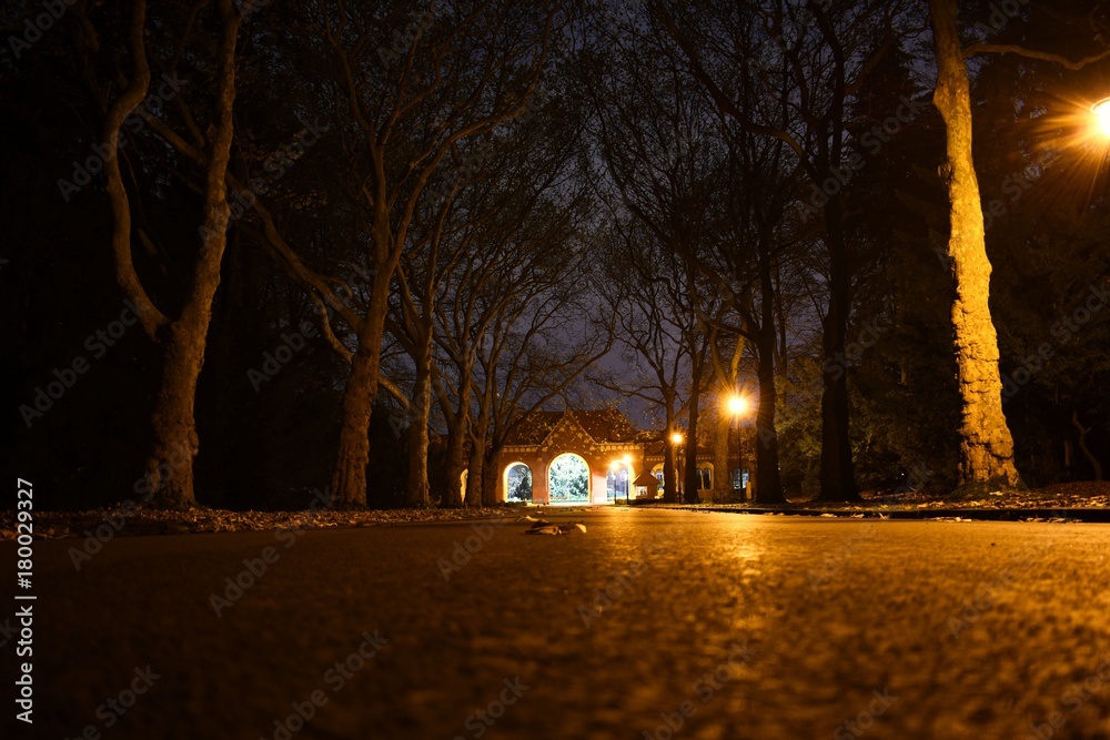 low view of road in park at night lights and trees around 