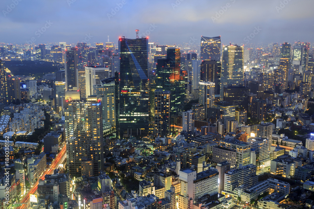 Tokyo skyline in twilight