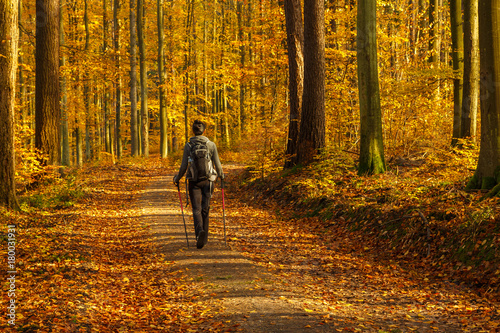 Woman walks on the forest path at sunny autumn day.  Tricity Landscape Park, Gdansk, Poland © Tomasz Wozniak