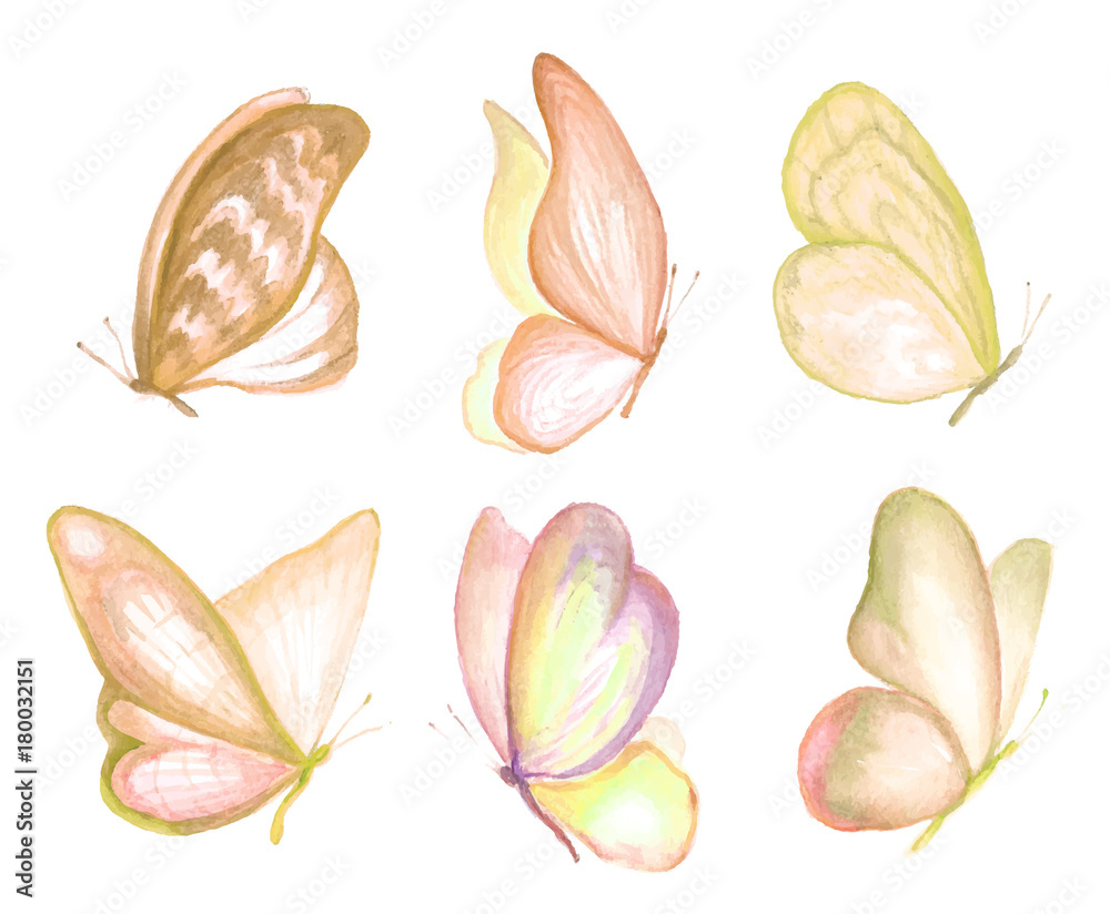 Set of watercolor butterfly. Set of watercolor butterfly.