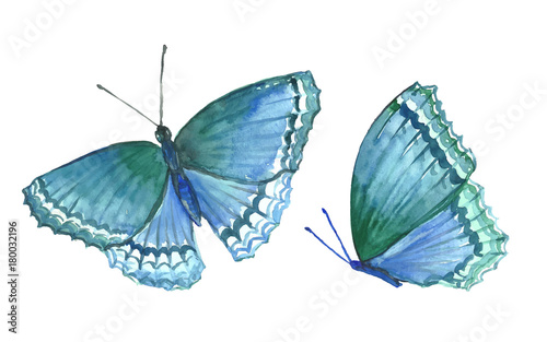 Collection watercolor of flying butterflies.