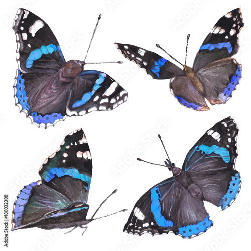 Collection watercolor of flying butterflies.