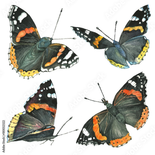 Collection watercolor of flying butterflies.