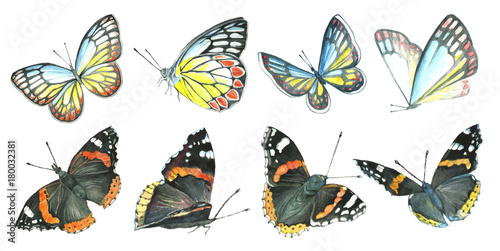 Collection watercolor of flying butterflies.