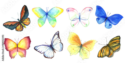 Collection watercolor of flying butterflies.