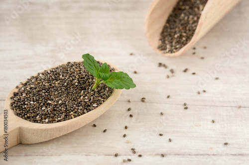 Wooden spoon filled with chia seeds.