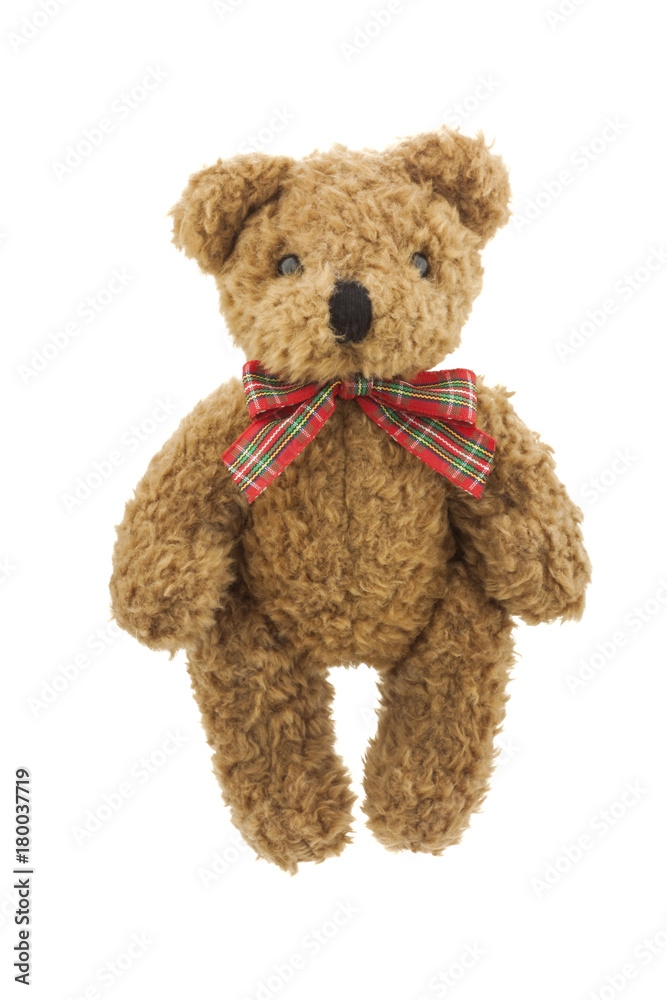 Fototapeta premium Teddy bear isolated on white background