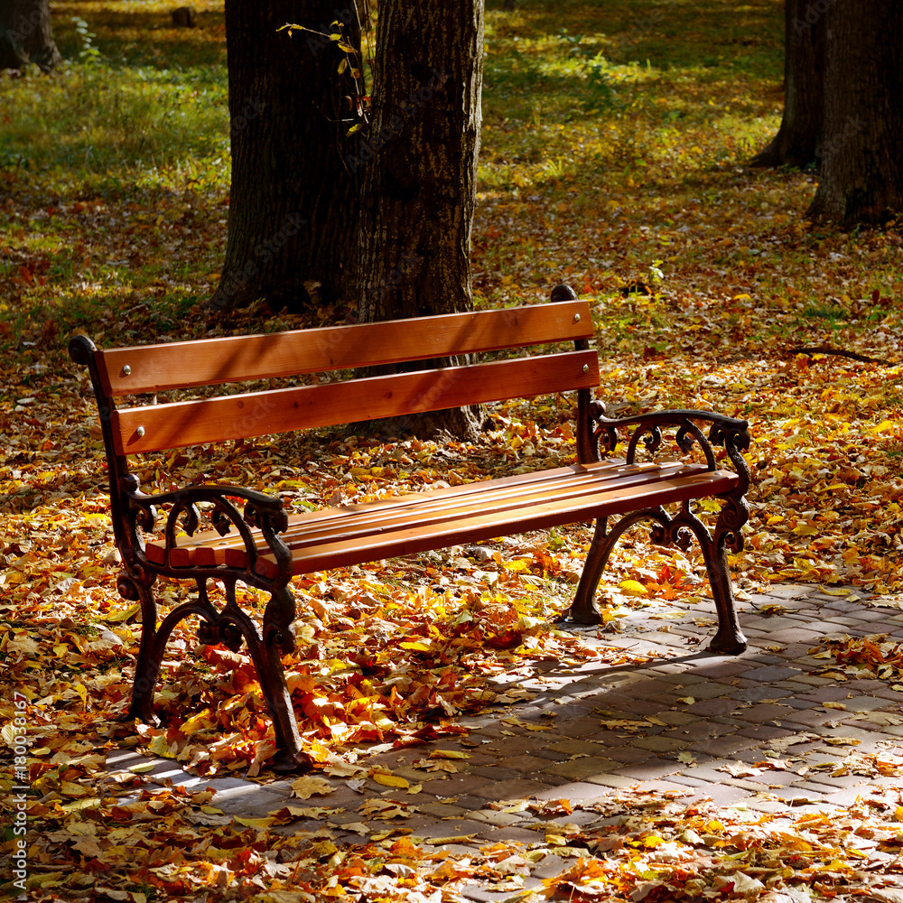 Beautiful garden bench in autumn park illuminated by sun. Beautiful garden bench in autumn park illuminated by sun.