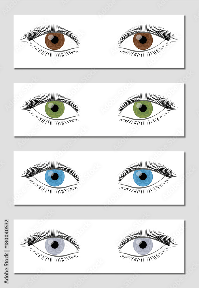 tray Be satisfied worship Eye color chart in dominant order of occurrence - brown, green, blue and  gray - isolated vector illustration on white background. Stock Vector |  Adobe Stock