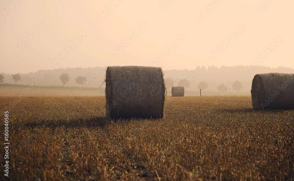 Hay bales in straw field at sunrise