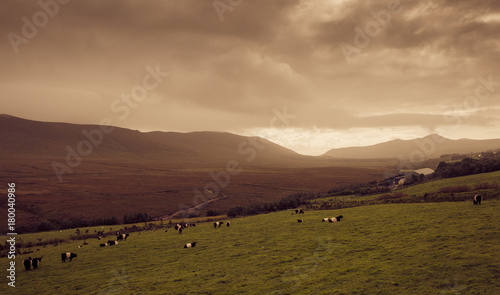 Hazy afternoon near Annascaul, Ireland photo